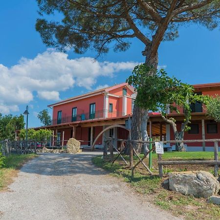 Terra Di Vento Acomodação com café da manhã Montecorvino Pugliano Exterior foto