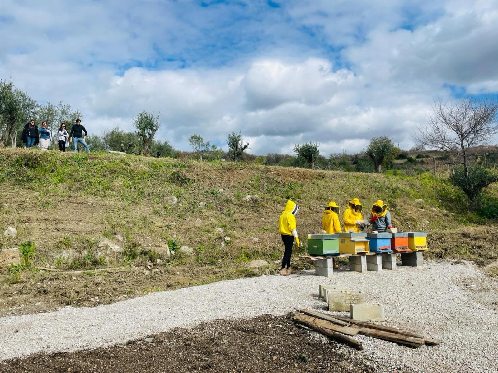 Terra Di Vento Acomodação com café da manhã Montecorvino Pugliano Exterior foto